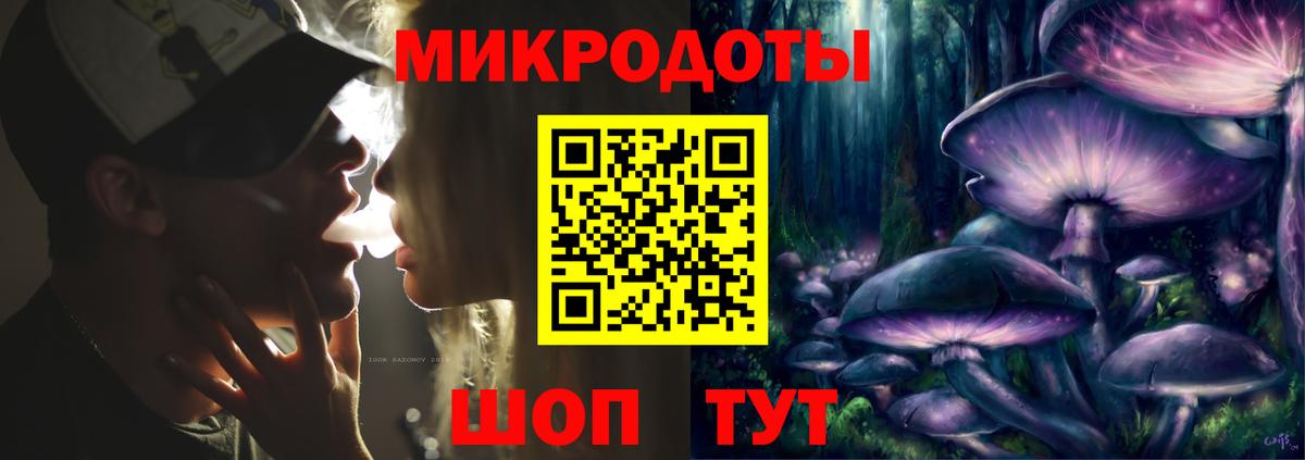 Псилоцибиновые грибы Psilocybe Ахтубинск